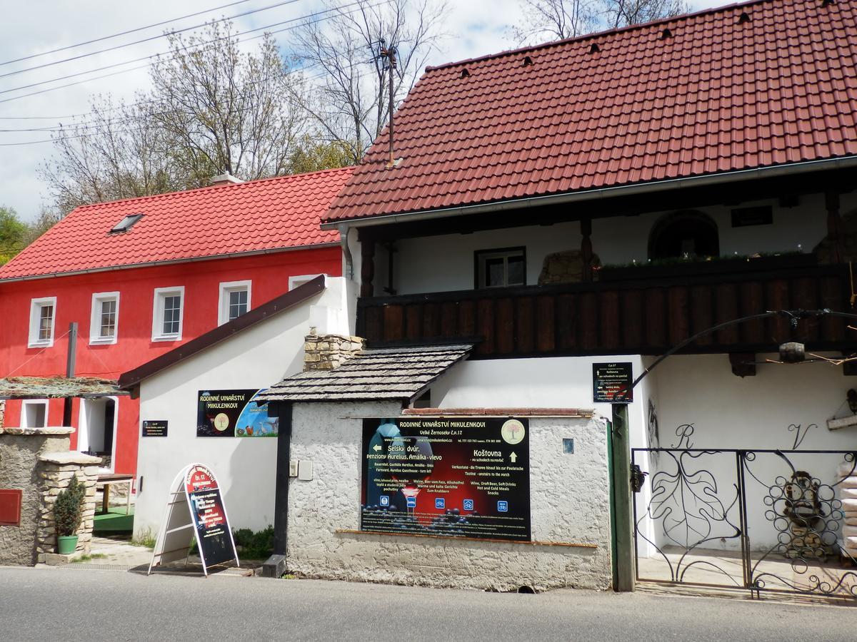Rodinne Vinarstvi Mikulenkovi Velke Zernoseky 外观 照片